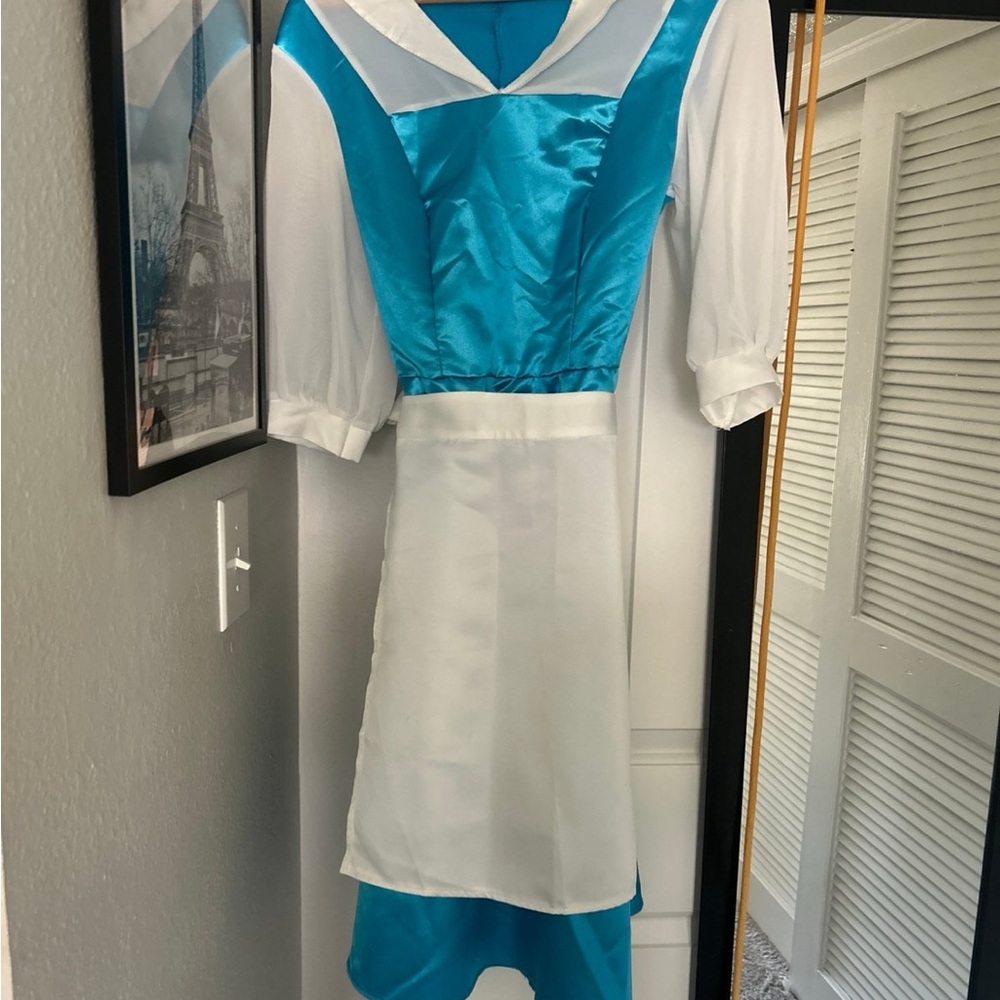 Blue and White Belle Costume Dress